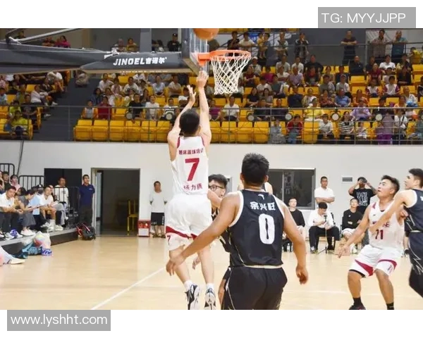 临安青山姚明的传奇人生与篮球梦想交织的故事